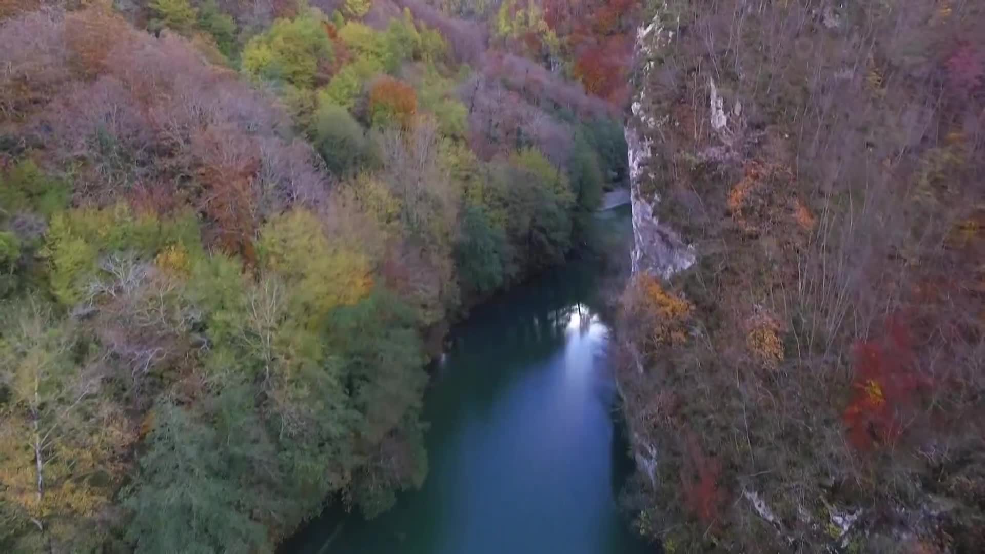 DokuTV