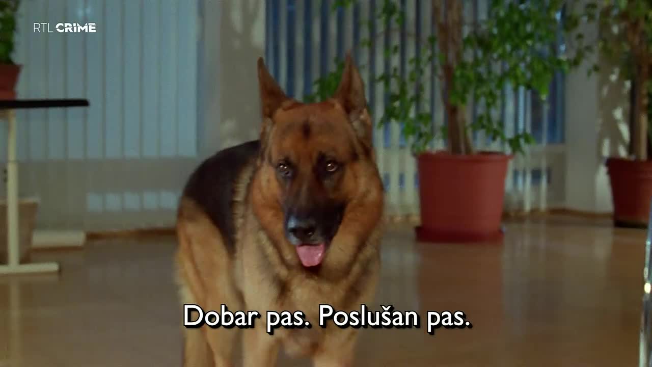 RTLcrime