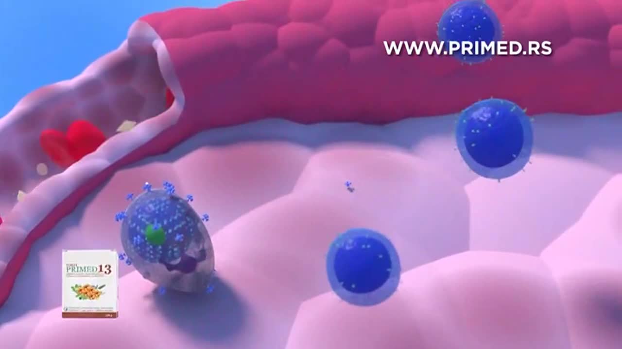 obn