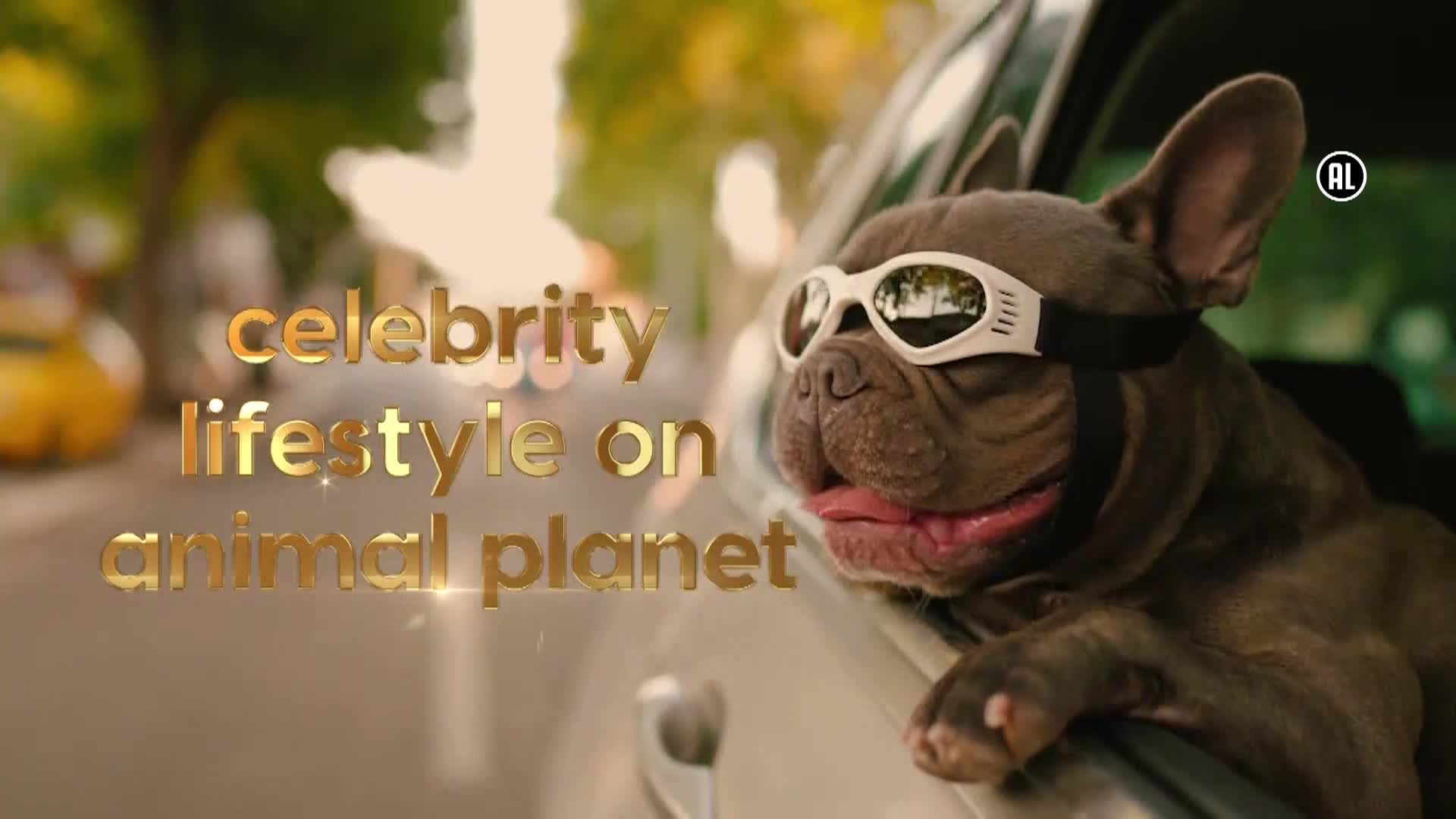 AnimalPlanet