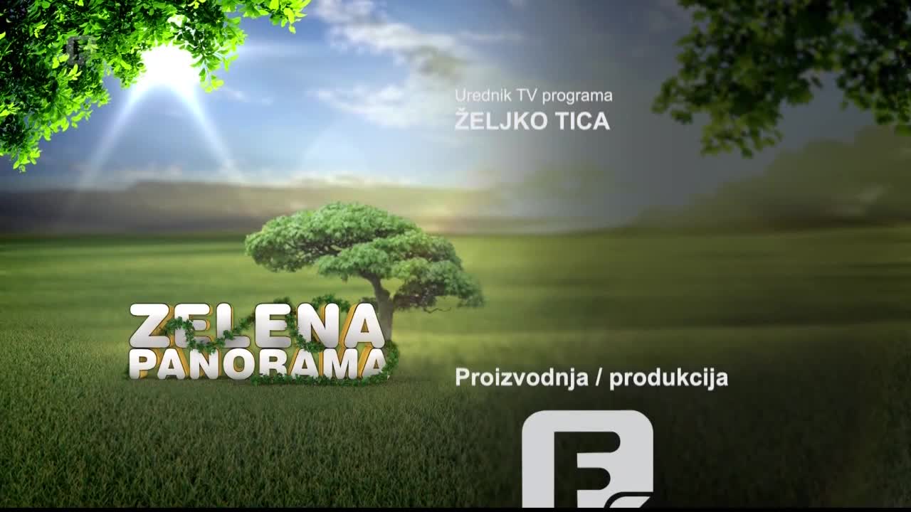 FTV