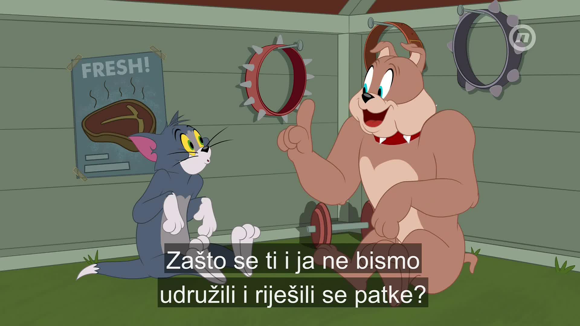 NovaTVPlus