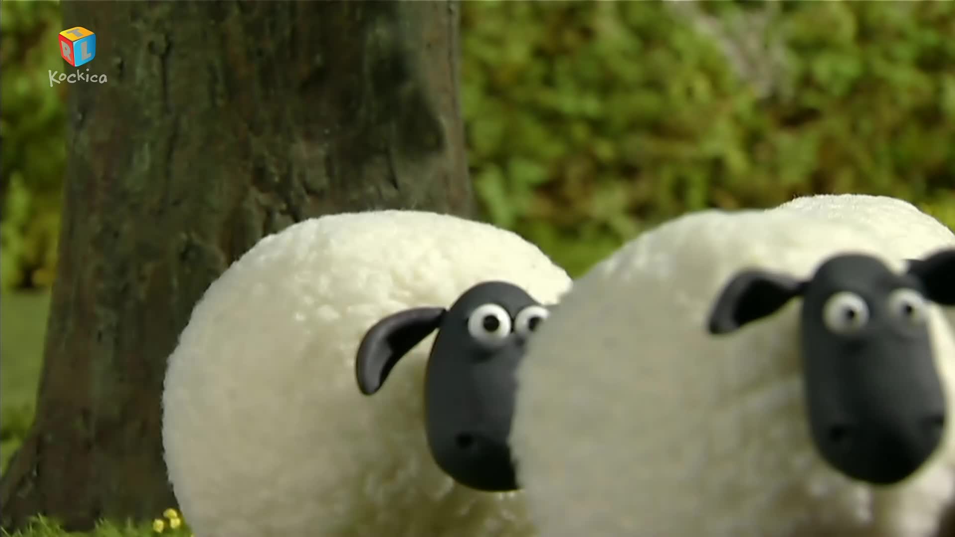 RTLKockica