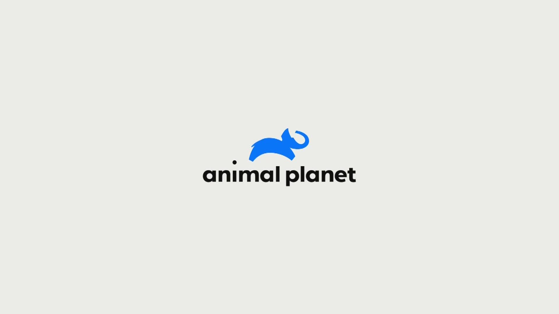 AnimalPlanet