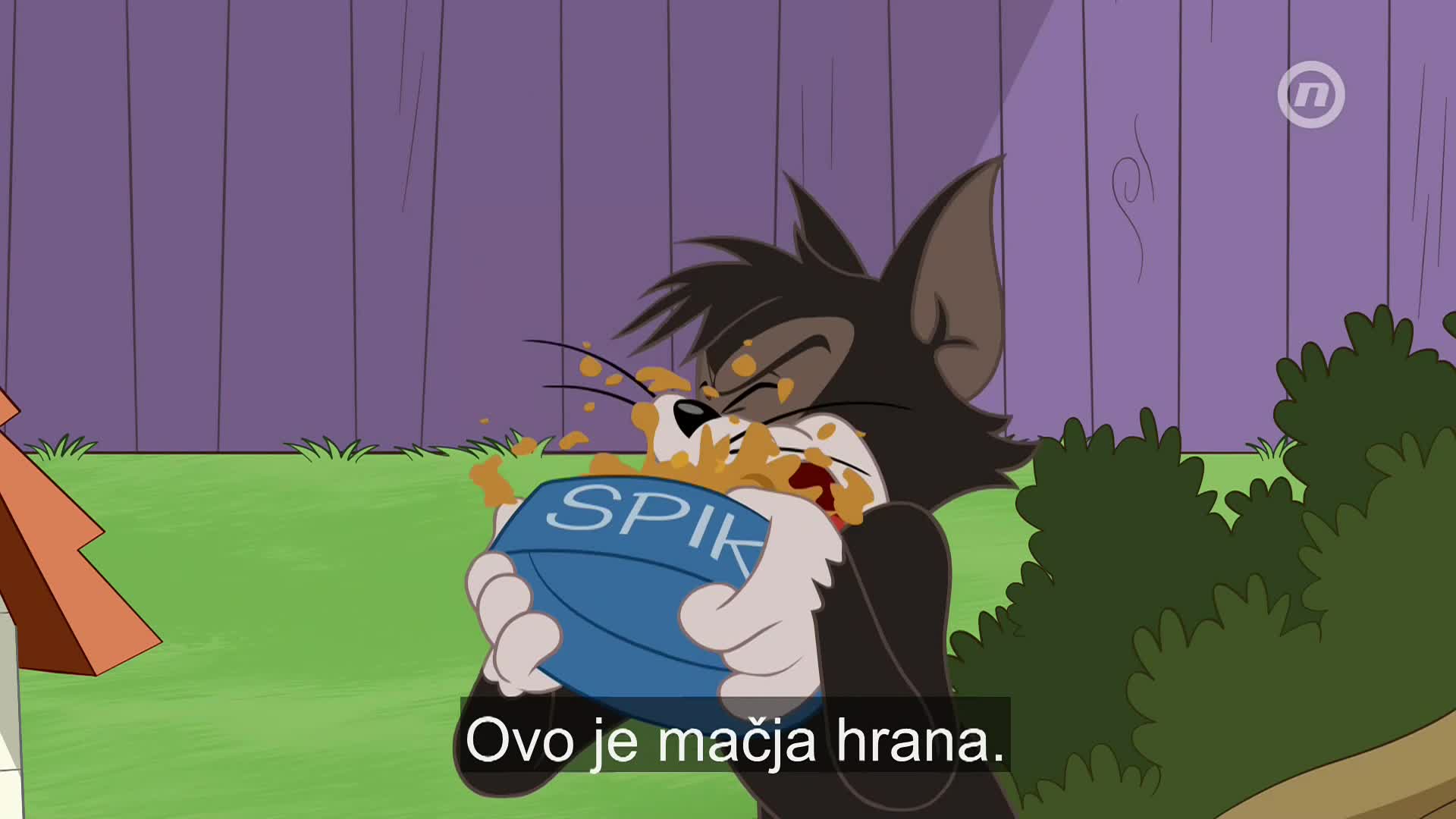 NovaTVPlus
