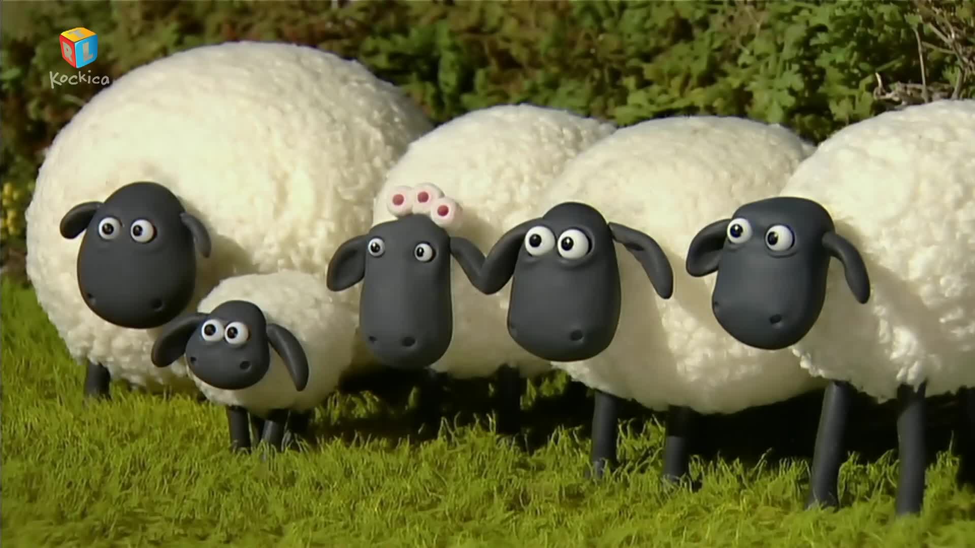 RTLKockica