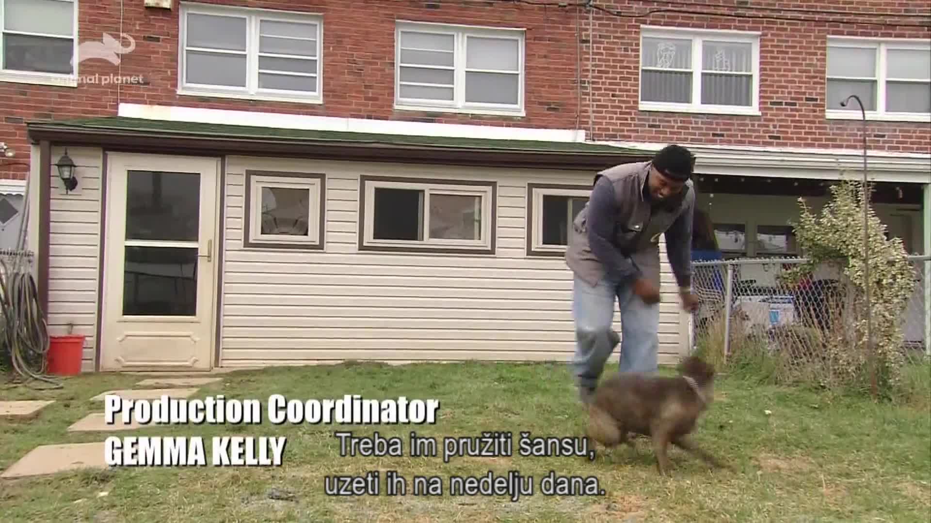 AnimalPlanet