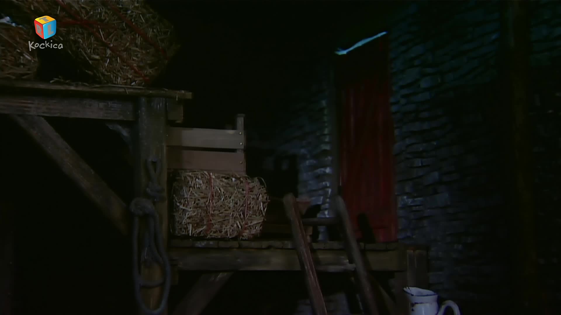 RTLKockica