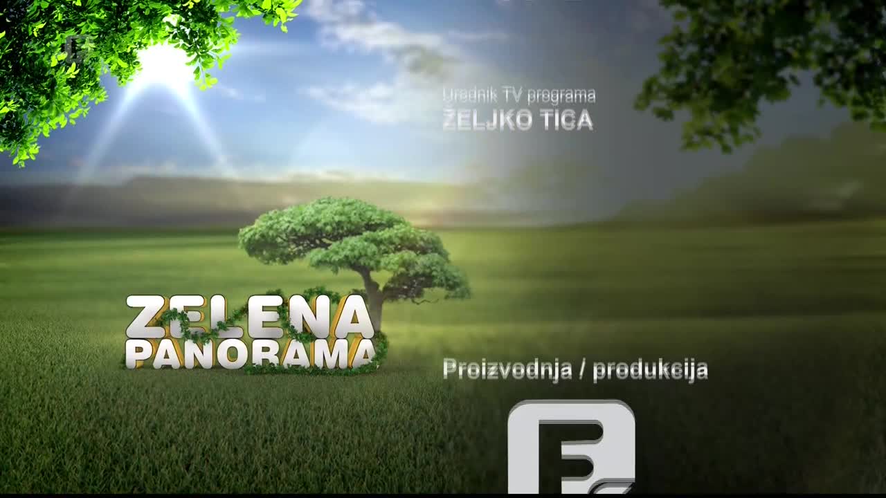 FTV