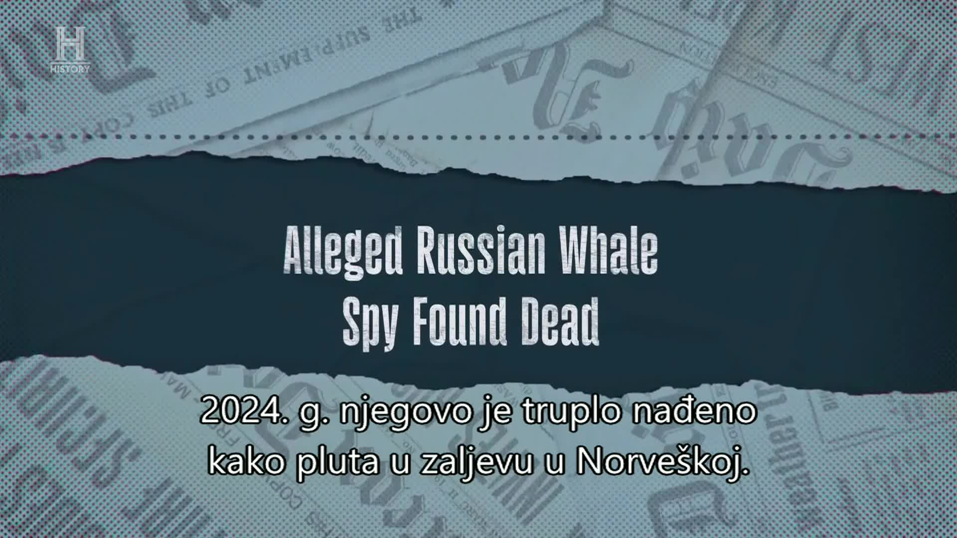 History