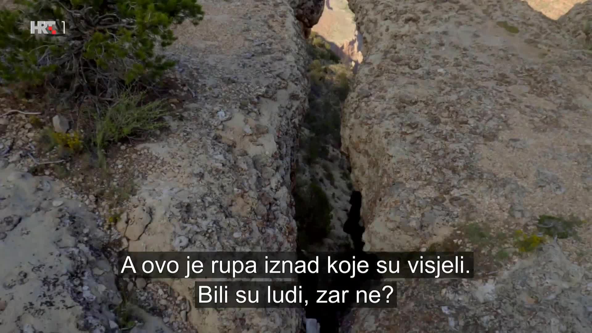 HRT1