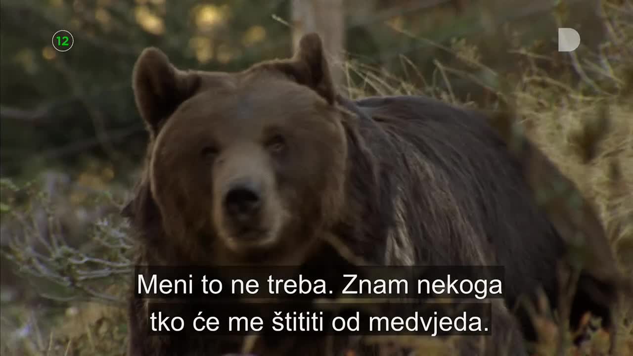 DomaTV