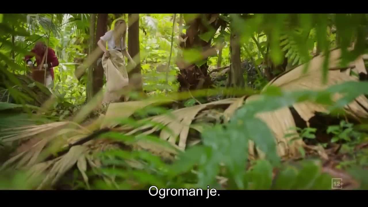 FTV