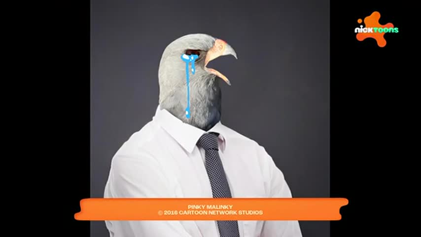 CCExtra