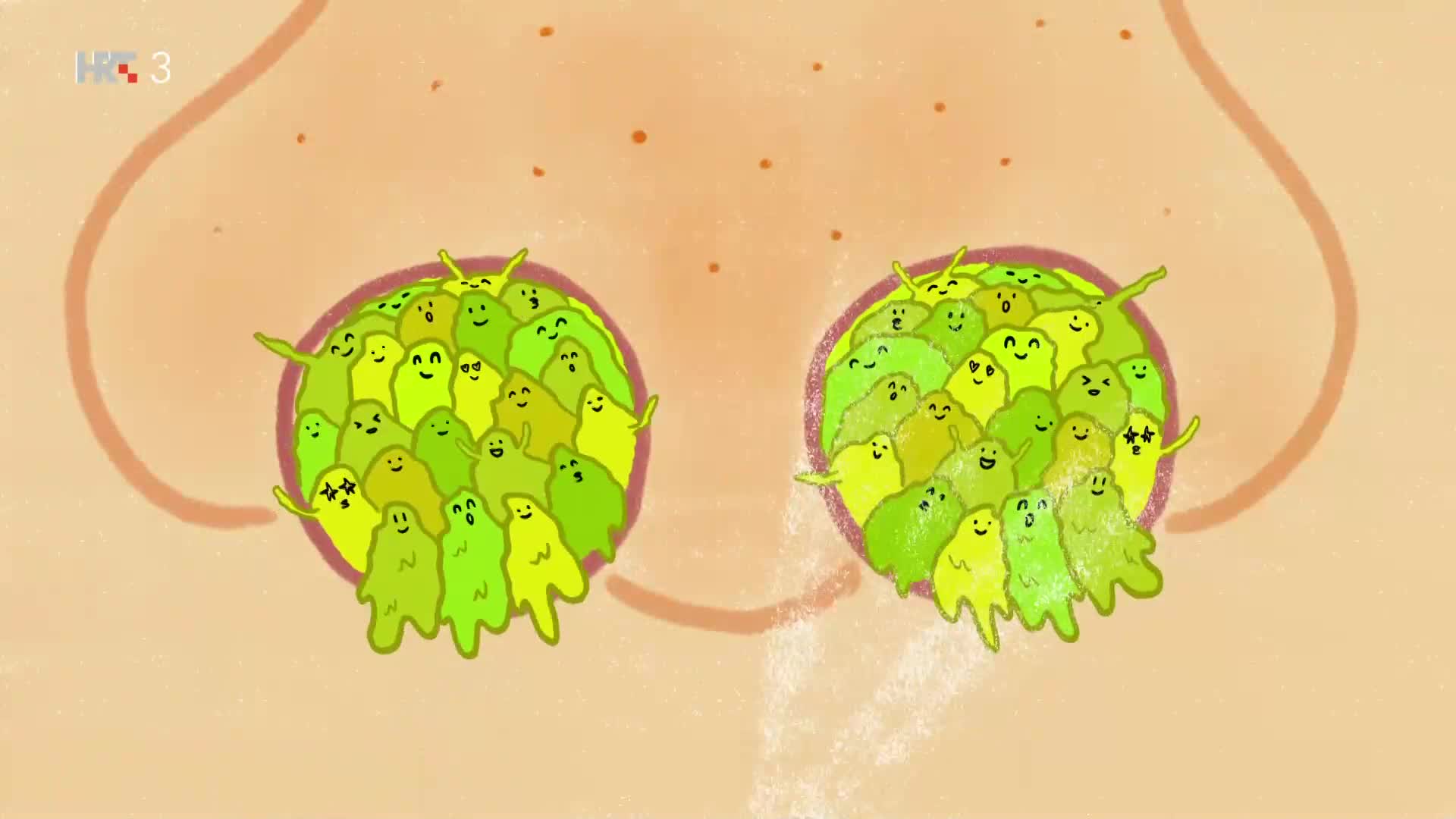 HRT3