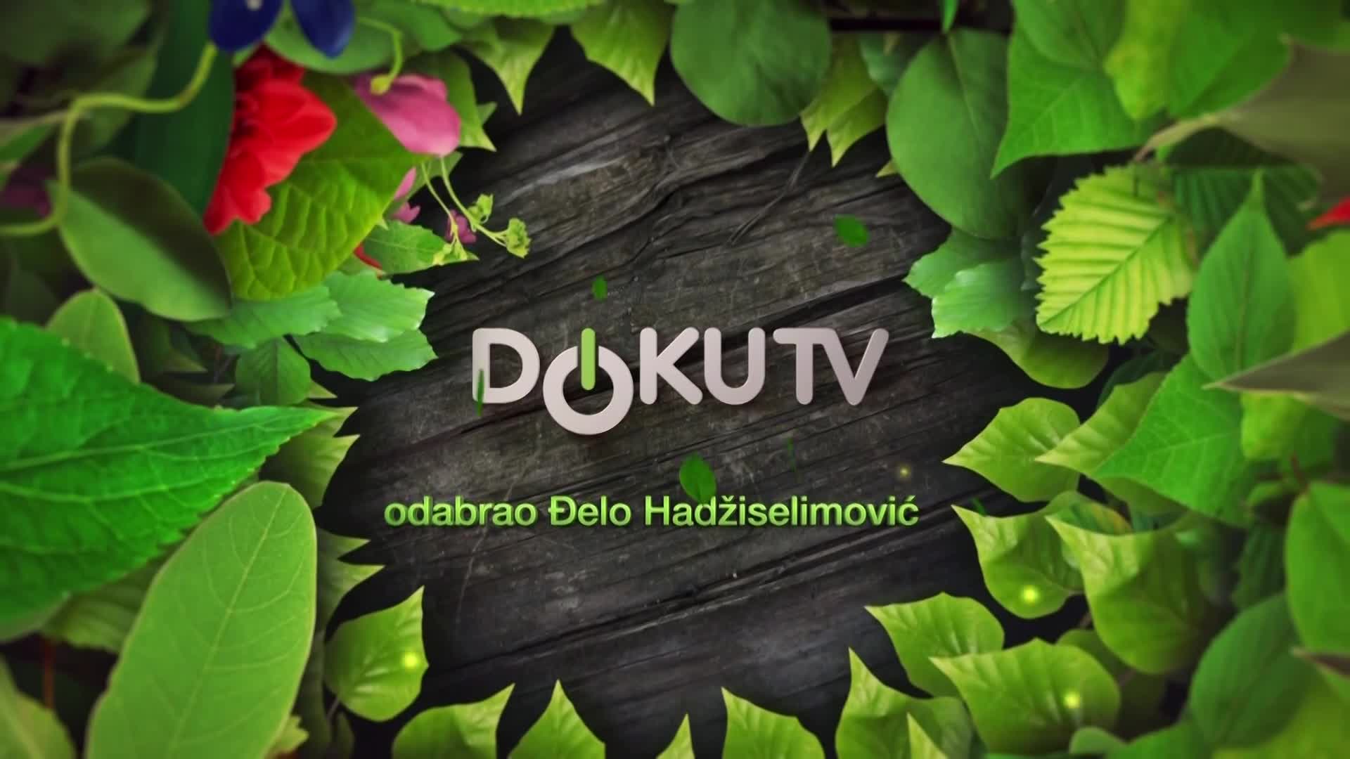 DokuTV