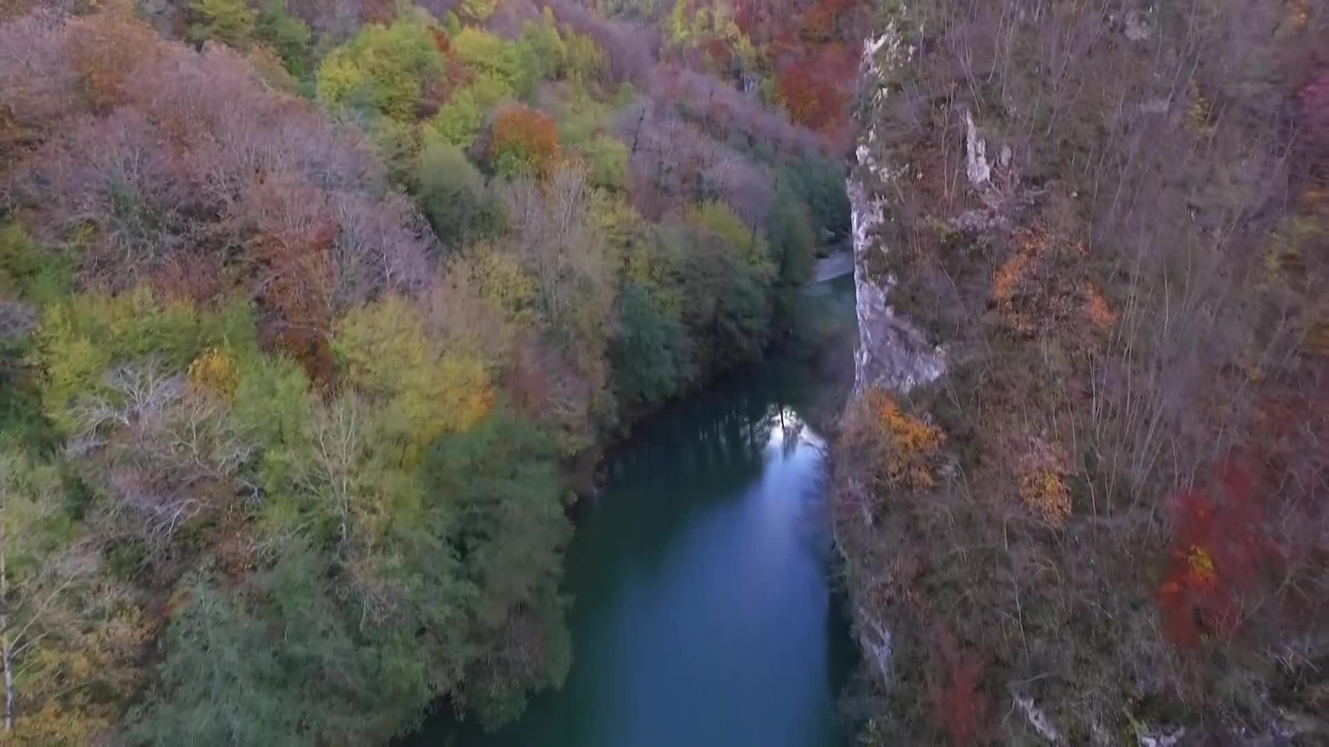 DokuTV