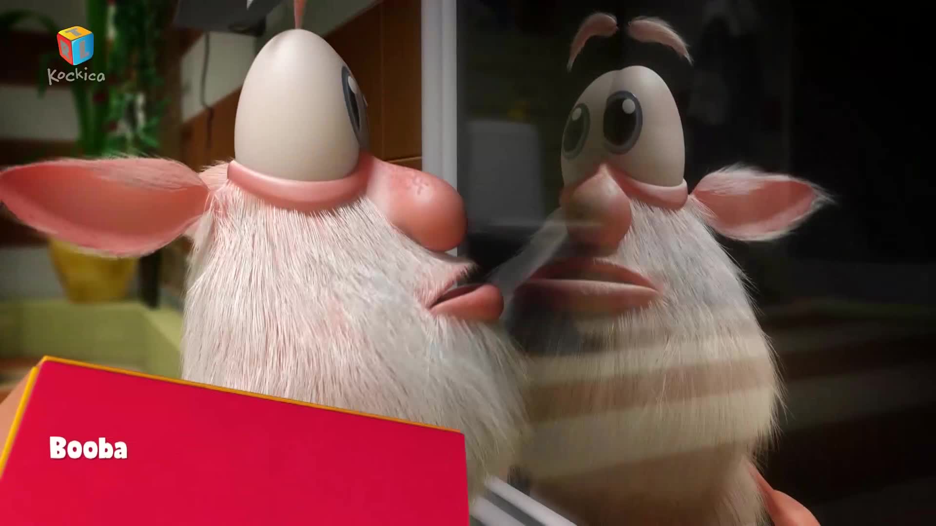 RTLKockica