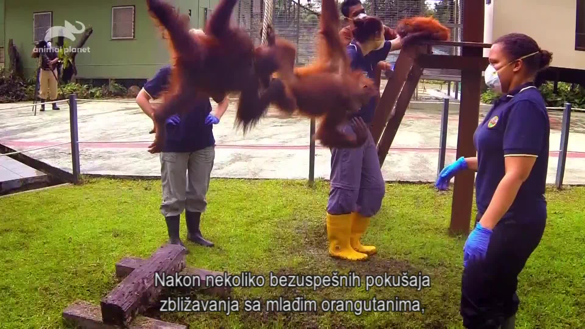 AnimalPlanet
