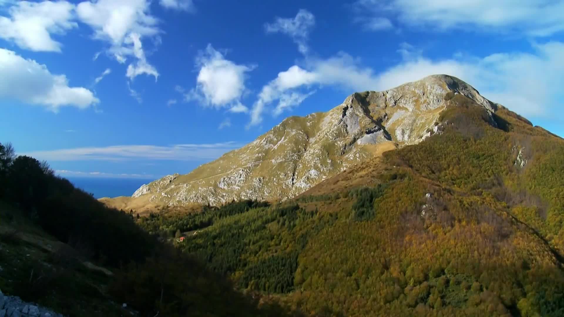 DokuTV