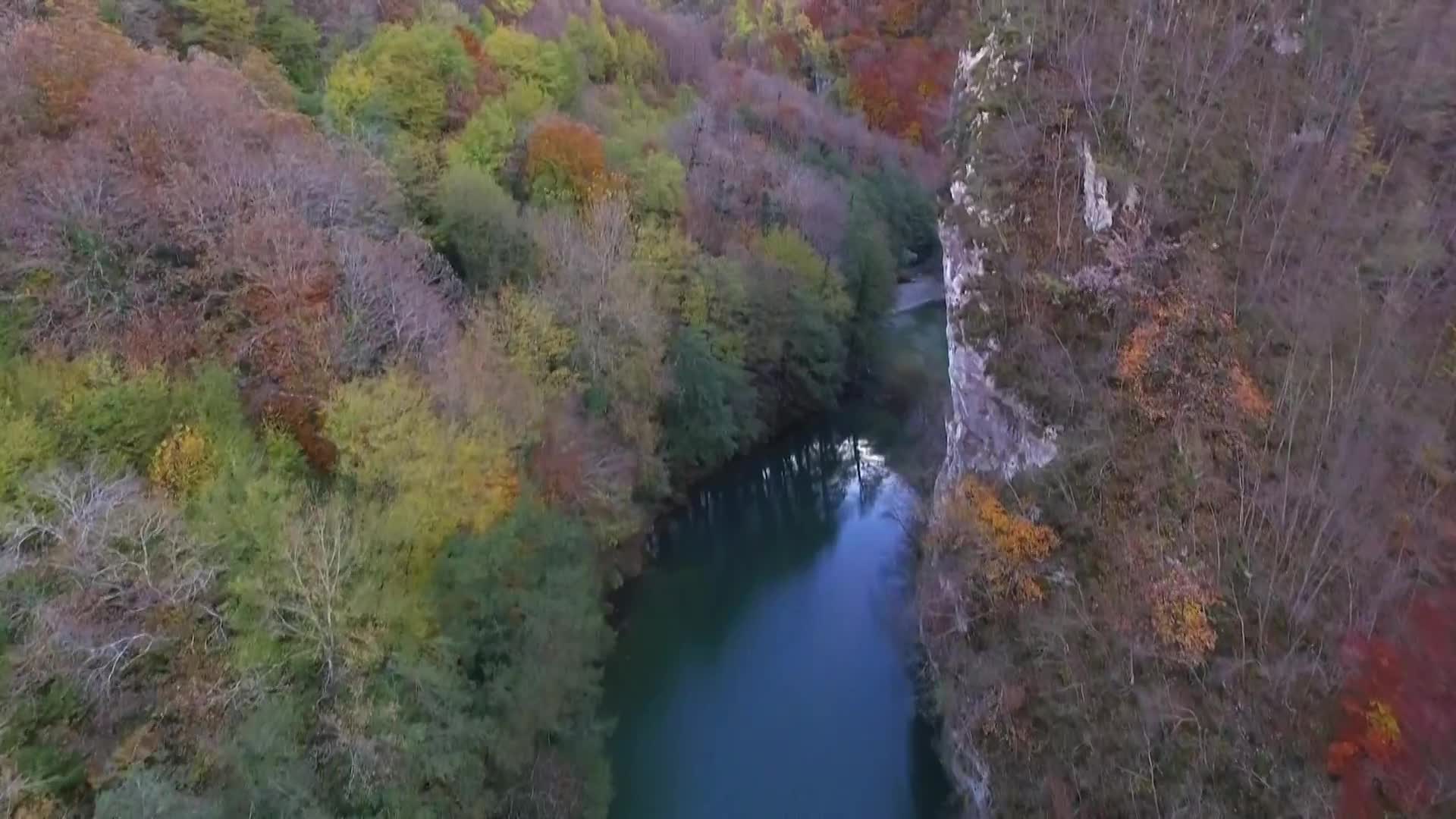 DokuTV
