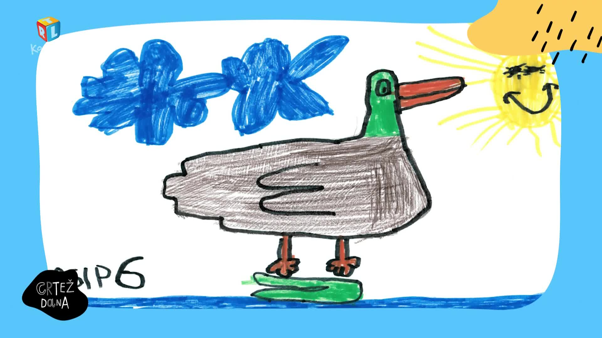 RTLKockica
