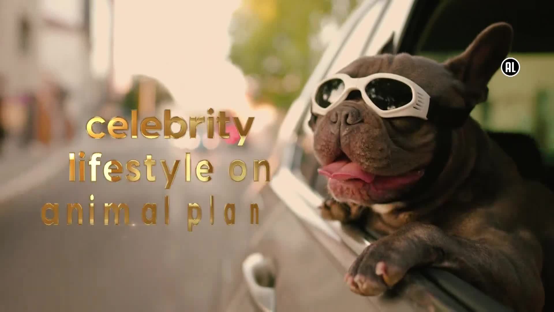 AnimalPlanet