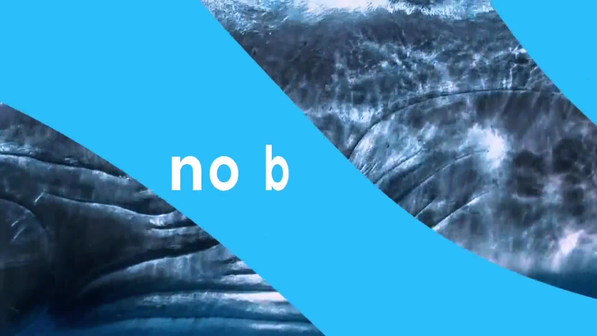 AnimalPlanet