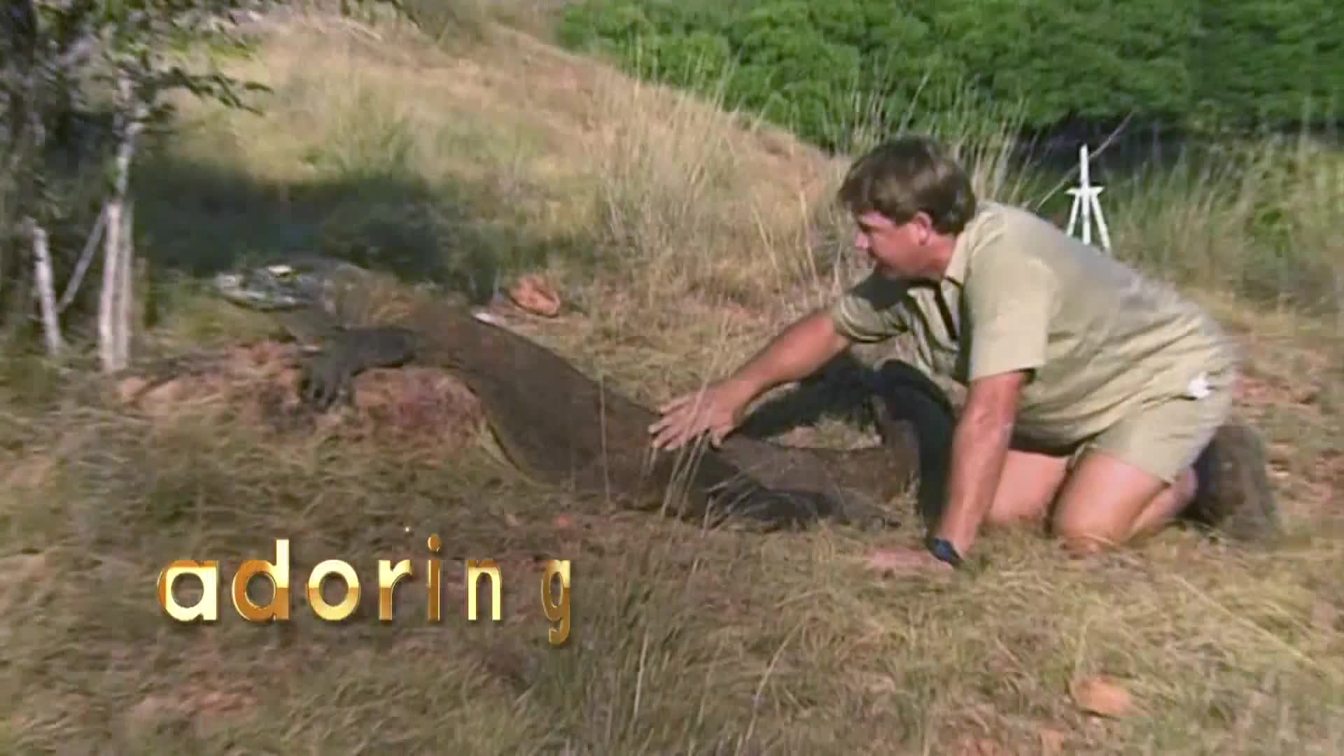 AnimalPlanet