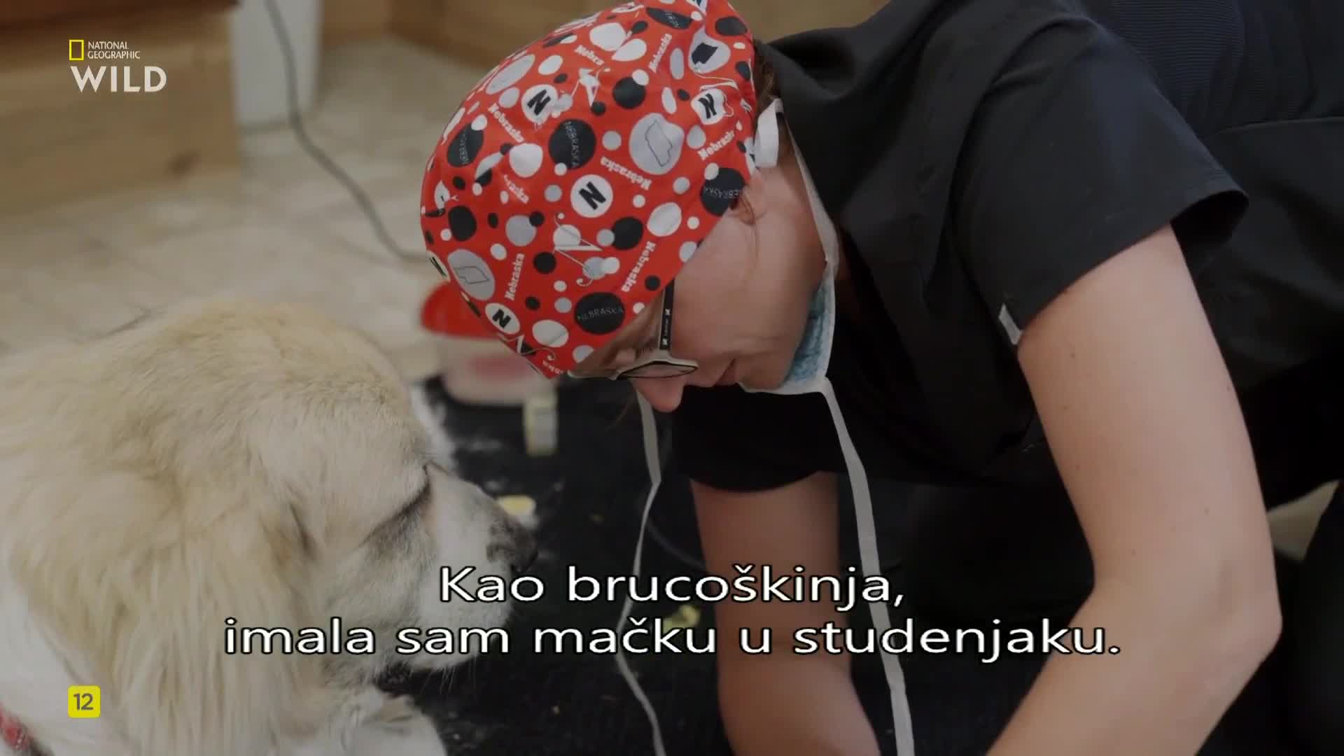 Premium9