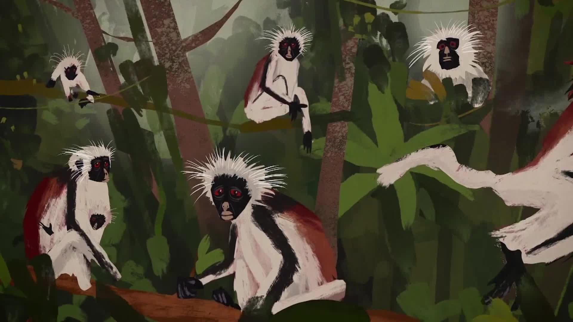 AnimalPlanet