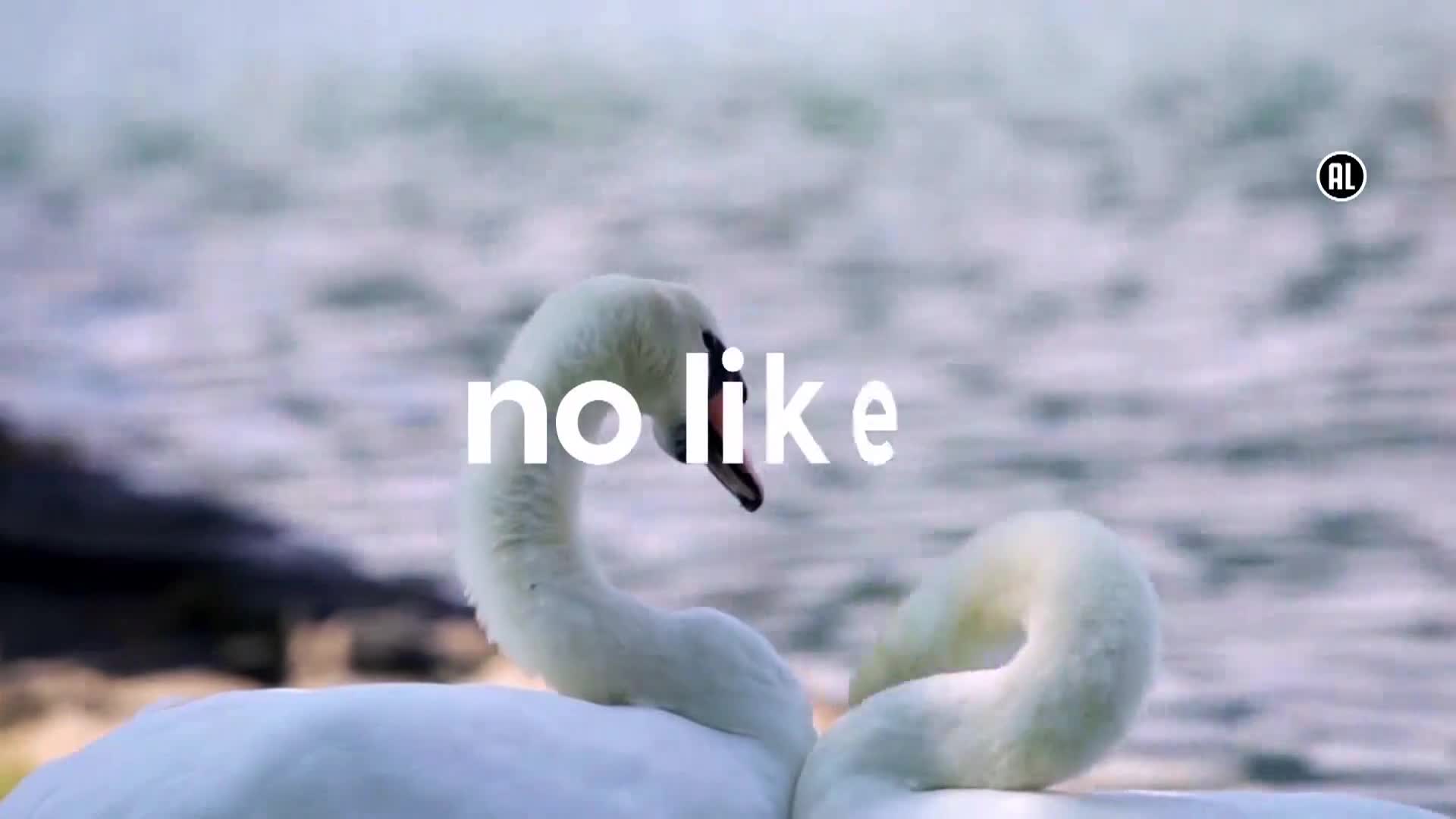 AnimalPlanet