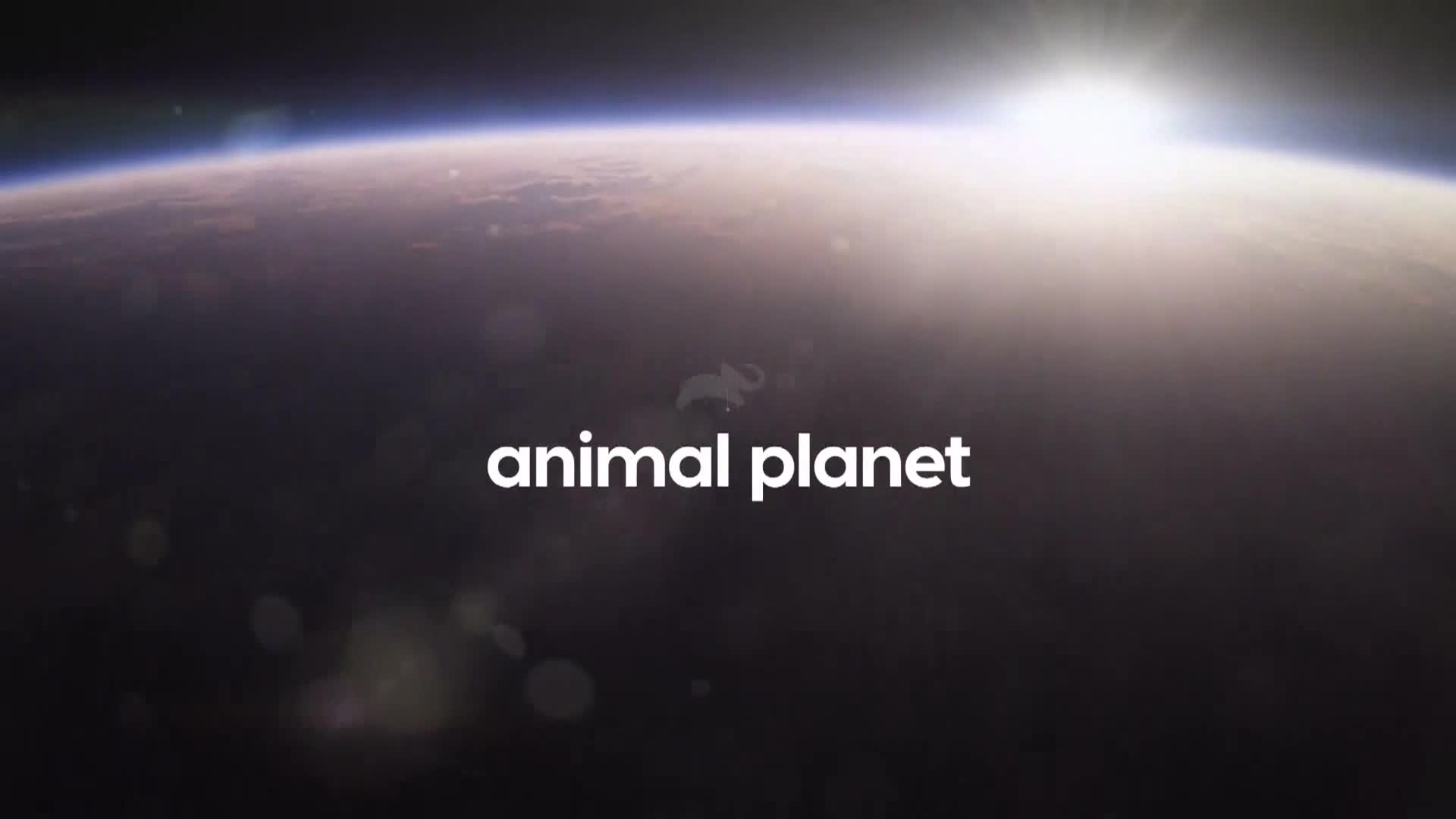 AnimalPlanet