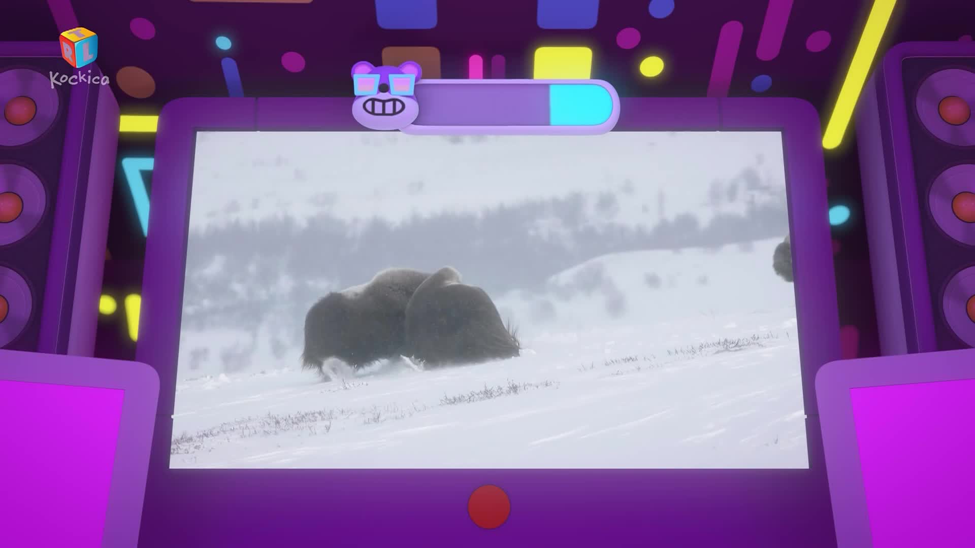 RTLKockica