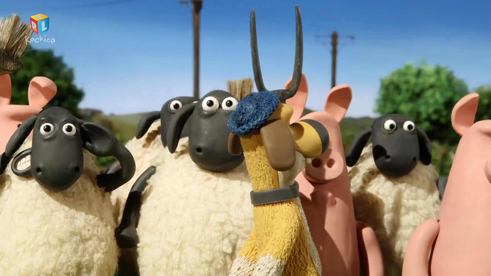 RTLKockica