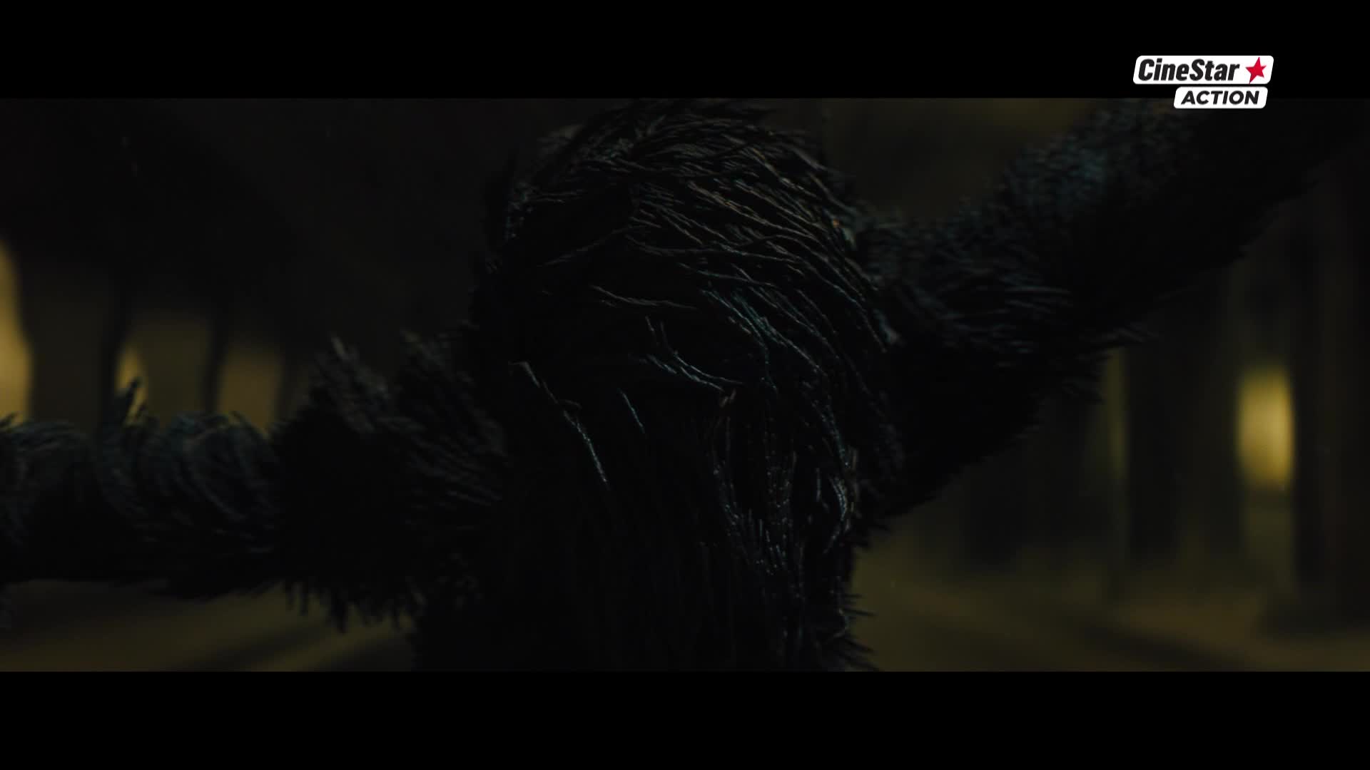 CinestarAction