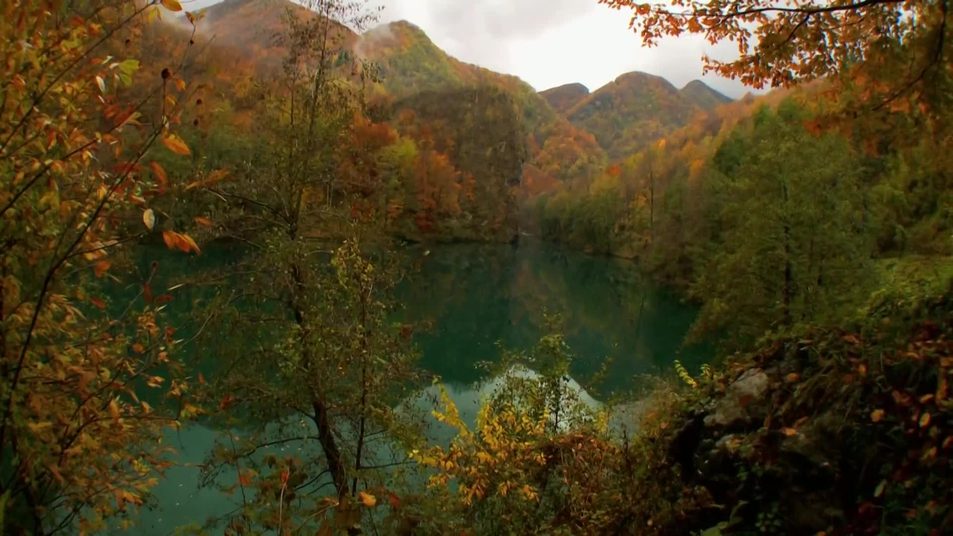 DokuTV