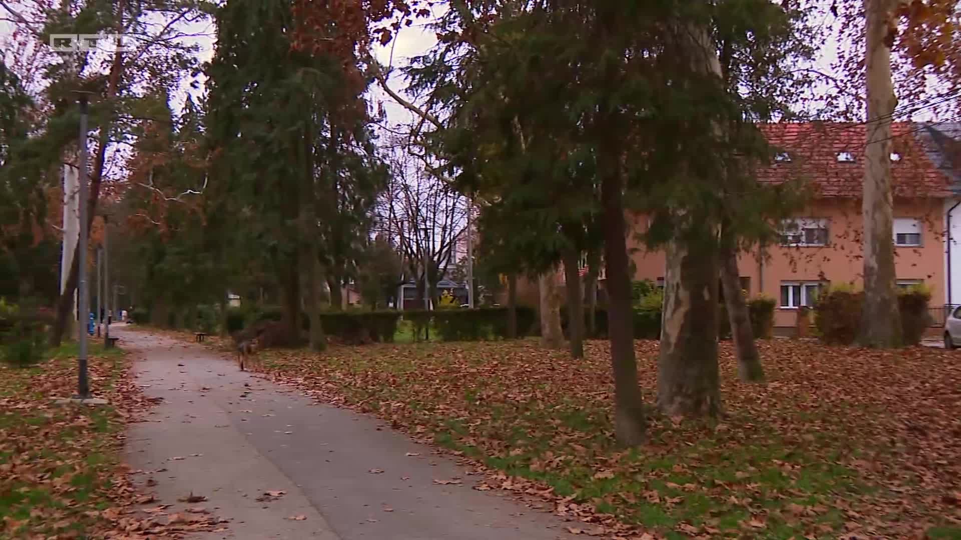 RTL