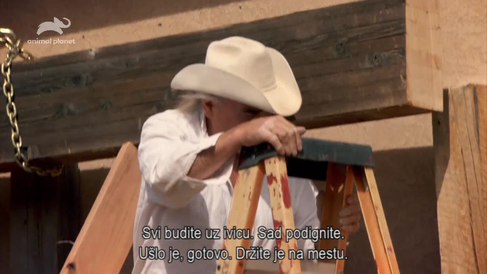 AnimalPlanet