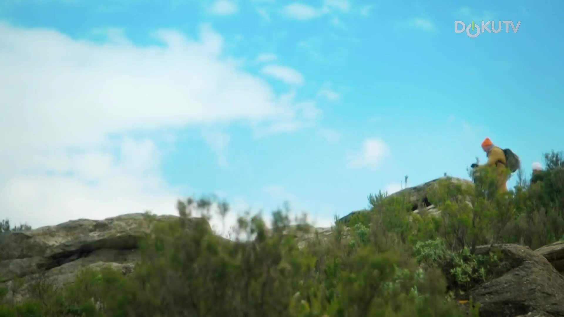 DokuTV