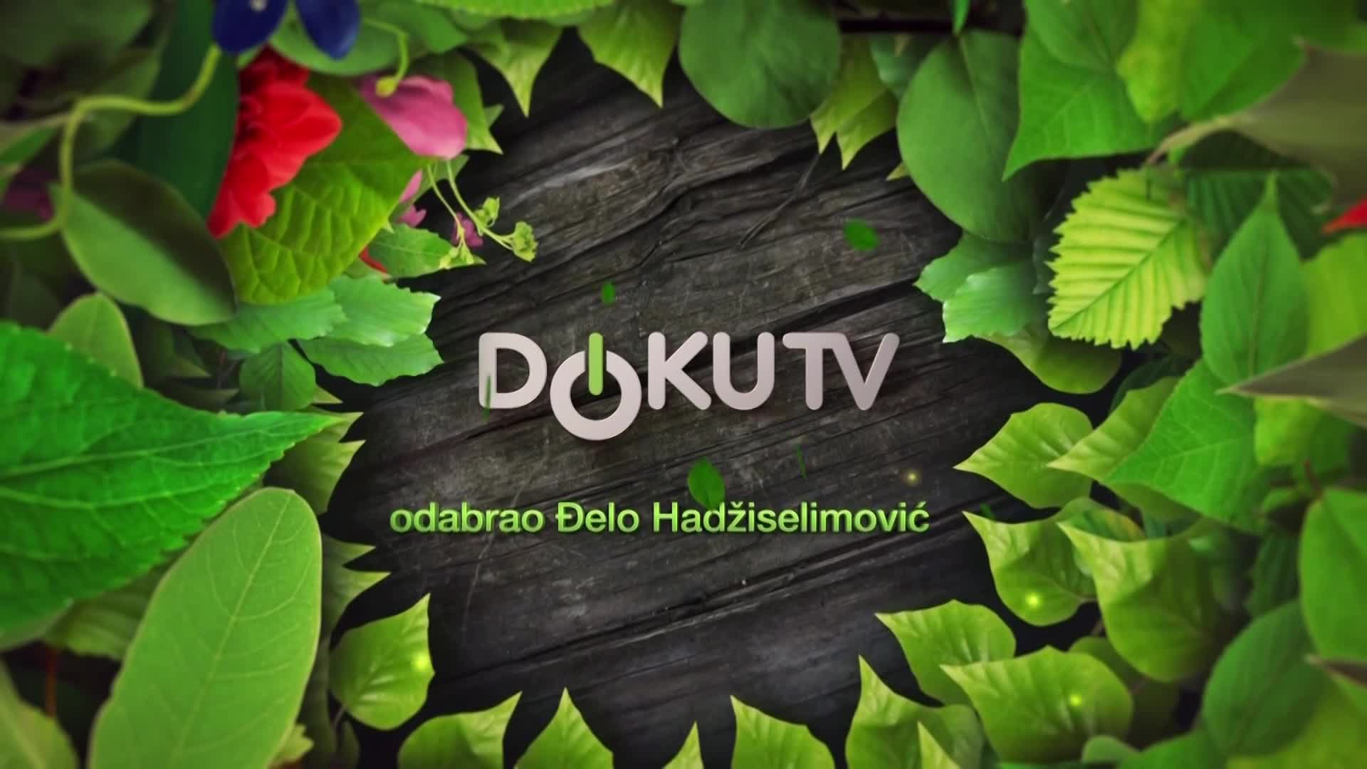 DokuTV