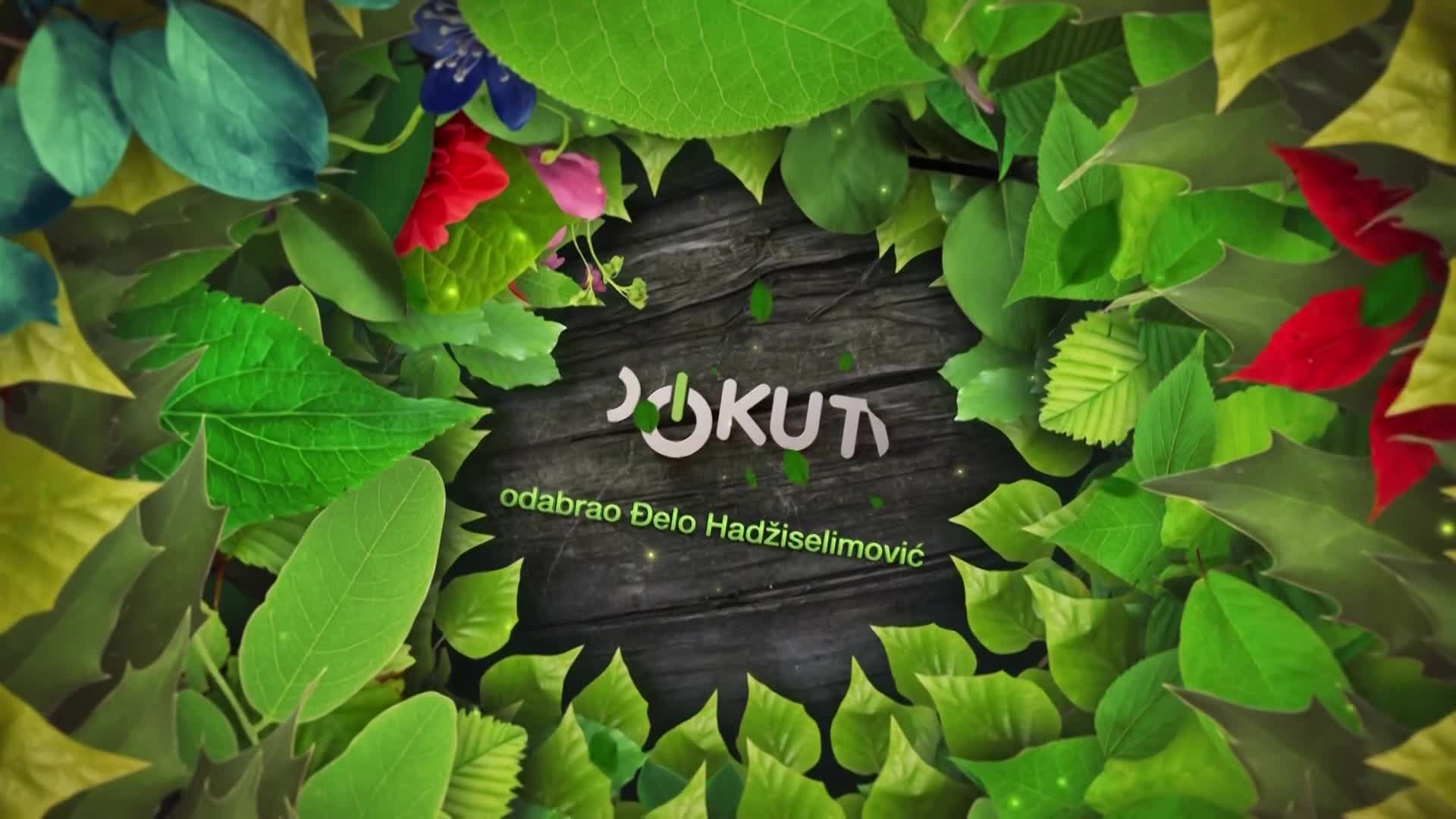 DokuTV