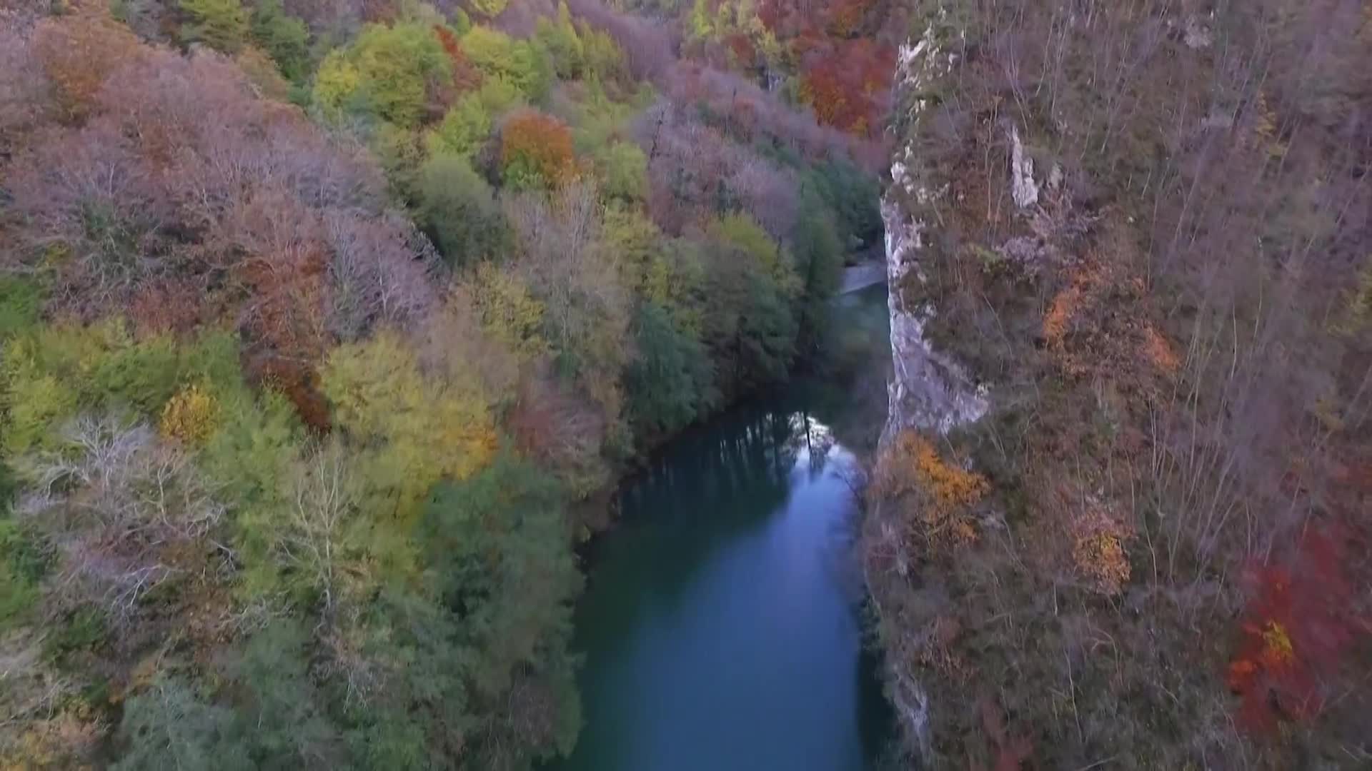 DokuTV