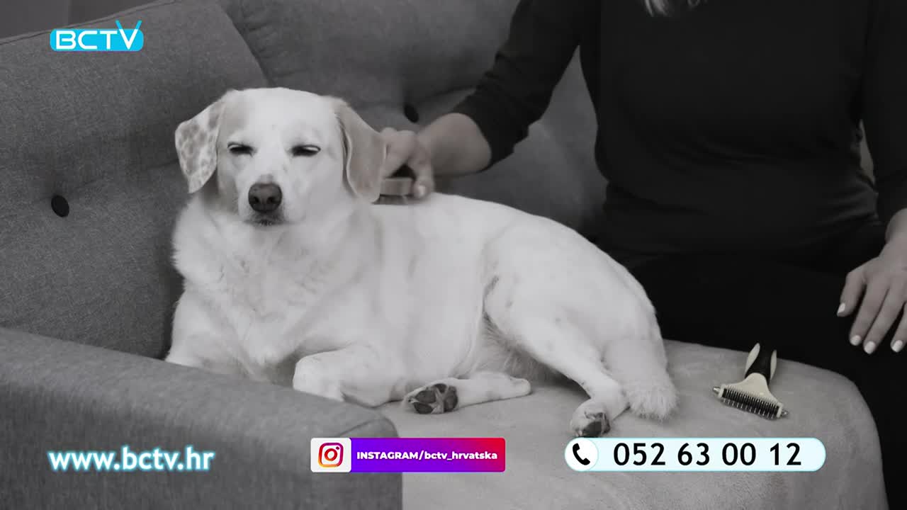 DomaTV