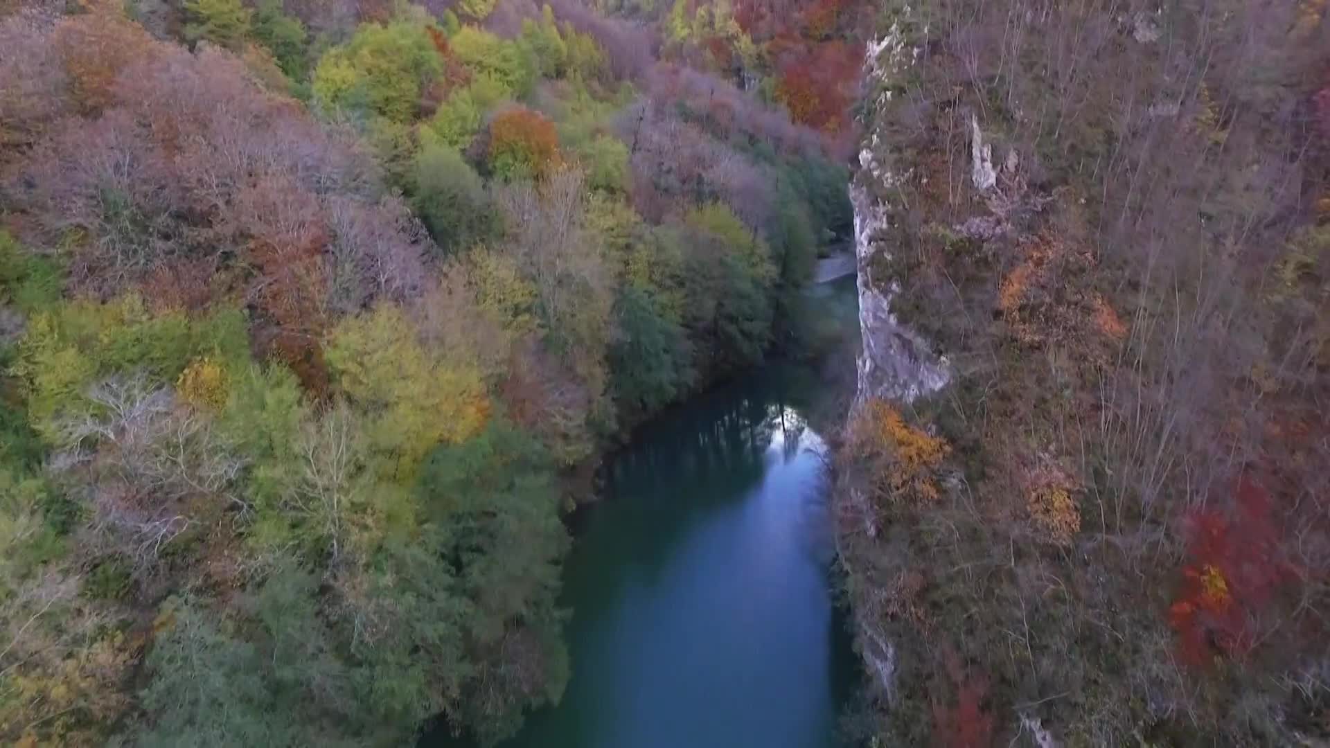 DokuTV