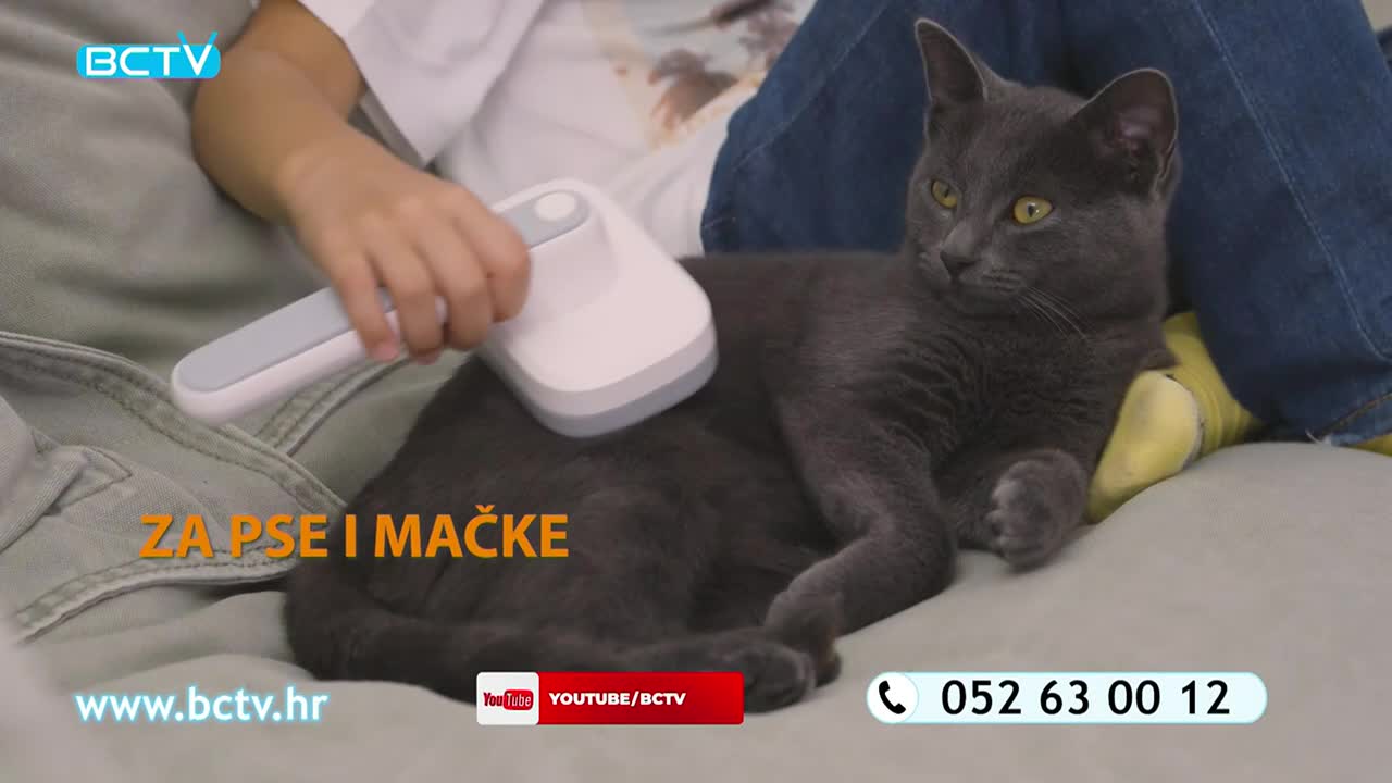 DomaTV