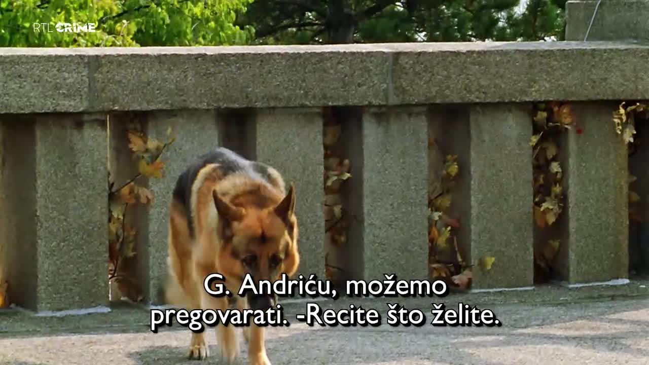 RTLcrime