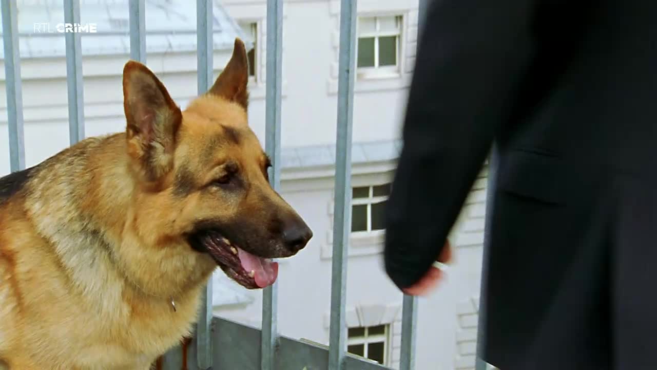 RTLcrime