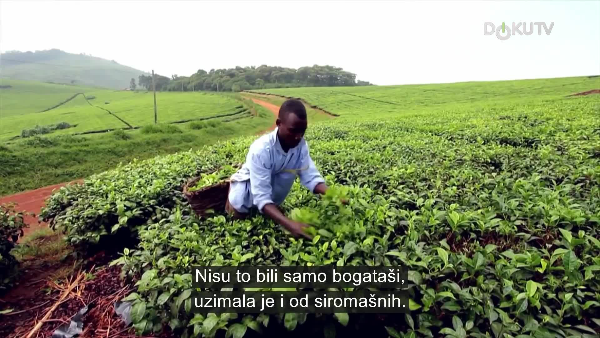 DokuTV
