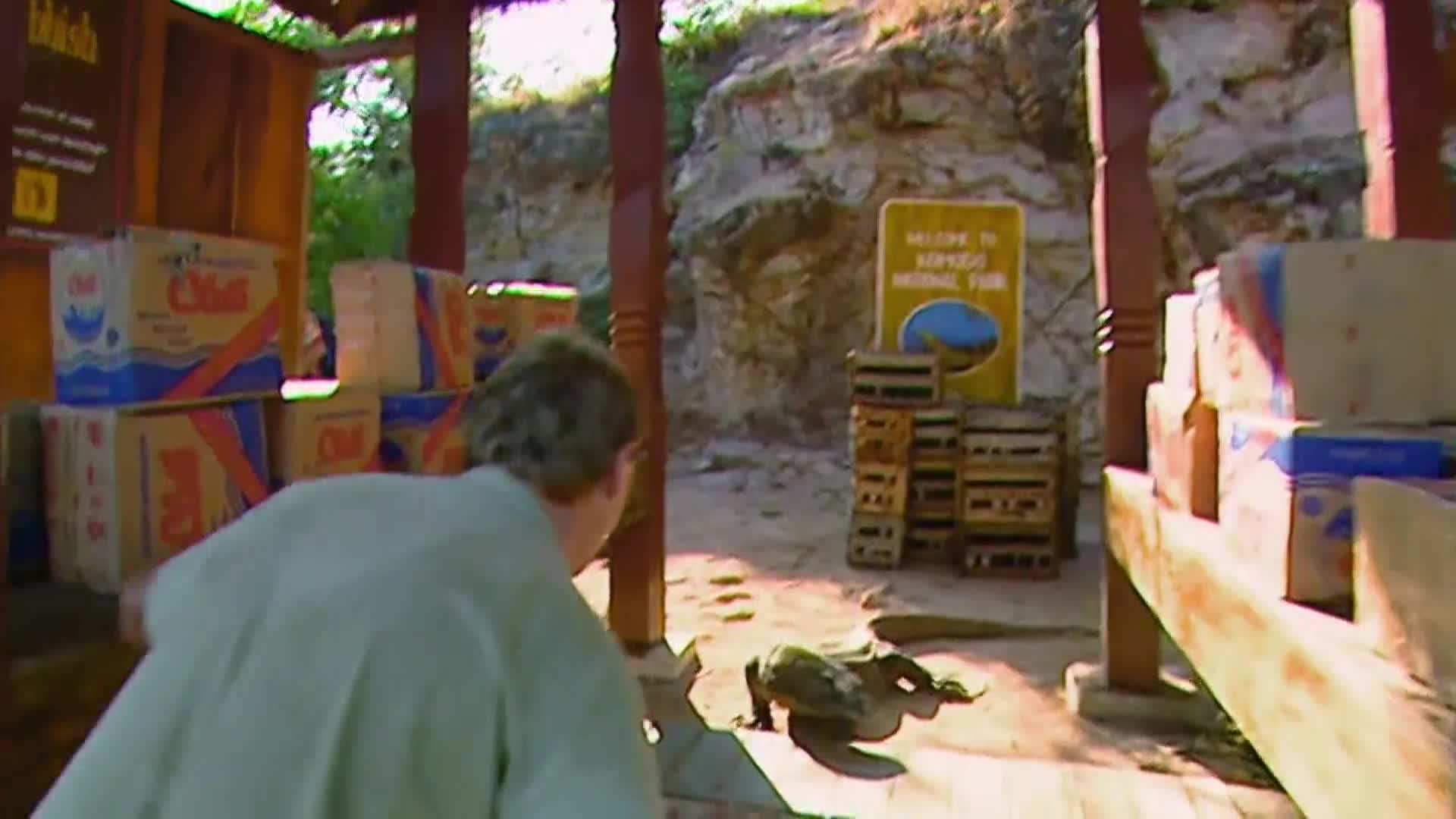 AnimalPlanet